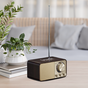 Wooden Mini Speaker